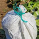 기두농장 이미지