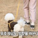 플레이 바우 이미지