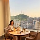 해피브라운 | 롯데호텔서울 라심라운지 애프터눈티, 해피아워, 조식 후기 / 이그제큐티브 프리미어룸