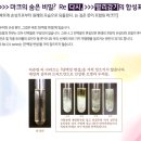 룩스오월