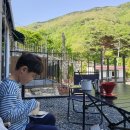 밀양 내마음애풍경 | 밀양펜션글램핑 캠핑도래 펜션 201호 후기