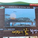 경북 경주 읍천 Daum카페