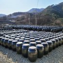 전통발효식품협동조합 이미지