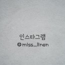 미스리넨 이미지