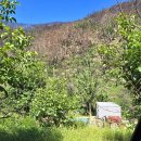 현내2리 이미지