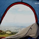 청포대숲속야영장