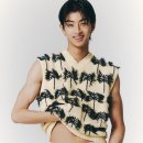 트로피칼 프로젝트(tropical project)
