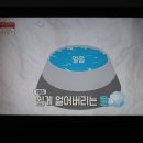 겨울철 길냥이 물그릇 동결방지(ebs1, 고양이를 부탁해) 이미지