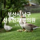 천주교부산교구유지재단 부산성모병원 이미지