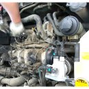 로시난테 이미지