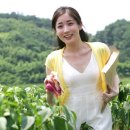 랑낭 Daum카페