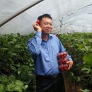 현민농장 이미지