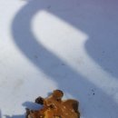 바닷가 별장 이미지