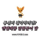 모아텔레콤 | 통신비 절약하려면? 앤텔레콤 알뜰폰이 답이다