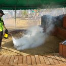 예성초교 병설유치원 이미지