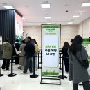 피크민 더현대 팝업스토어 후기 | 판매 상품, 구매 특전, 스폐셜 스폿 총정리