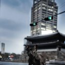 레이지보이 켄넬 이미지