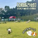 GS25전주아영점 | [공지] [전주 애견 운동장]페블라썸_24시간! 반려견 놀이터