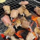 대왕곰장어 이미지