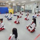 용인대 장안 태권도 이미지