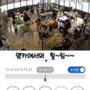 리프패럿 이미지