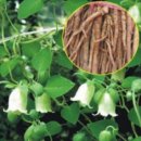 그린종묘농약사 이미지