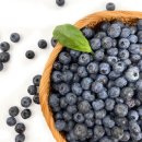 포바디짐 이미지