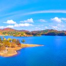 대덕대로-10 이미지