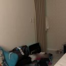 세븐일레븐 사천선인대로점 | 도쿄 호텔/도쿄 히말라야 클라우드 호텔/사사즈카 호텔