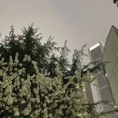 퀸스유외과의원 이미지