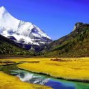 (주) 설산목장 이미지