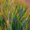 일자리지원센터 이미지