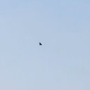 여유누리 이미지