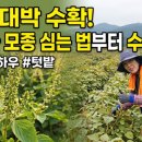 종실농장 네이버블로그