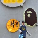 동영개발 이미지