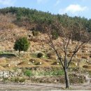 덕례공원 이미지