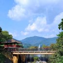 제천 의림지 용추폭포 이미지