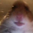회기7 이미지