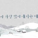 대설 - 서구 관저중로64번길 63 | 대설