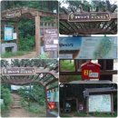 조강철책길 이미지