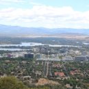 멍멍이발바닥 이미지