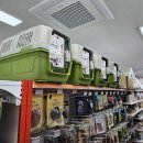 펫클럽충주