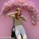 다시보다헤어살롱