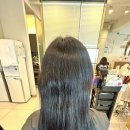 오늘은 머리하는날 이미지