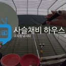 조치원낚시터 이미지