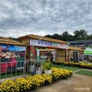 함양산삼사랑 | 함양산삼축제 주차팁 ) 아이랑 유모차로 다니기 힘든 후기