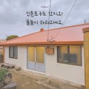 신촌리 민박 | 제주 동쪽 바닷가 민박,&#39;쪼바네&#39; 4인실 -소중한 사람들과 함께하는 힐링 스테이