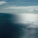 기적 같은 이야기, 기적 같은 쉐일린 우들리의 연기 - 어드리프트: 우리가 함께 한 바다 (Adrift, 2018) 이미지