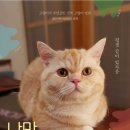 나만 없어 고양이 네이버블로그