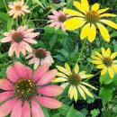 두륜산농장 이미지